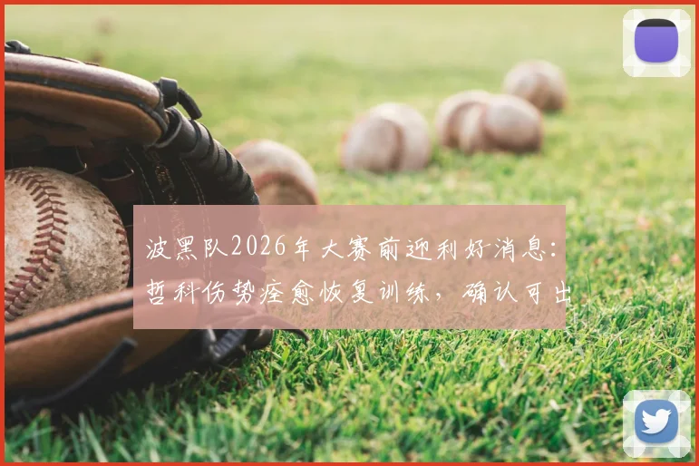 波黑队2026年大赛前迎利好消息：哲科伤势痊愈恢复训练，确认可出战对阵瑞士关键战役，回顾其历史作用