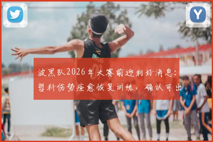 波黑队2026年大赛前迎利好消息:哲科伤势痊愈恢复训练,确认可出战对阵瑞士关键战役,回顾其历史作用